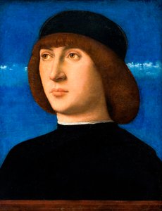 Portrait of a Young Man